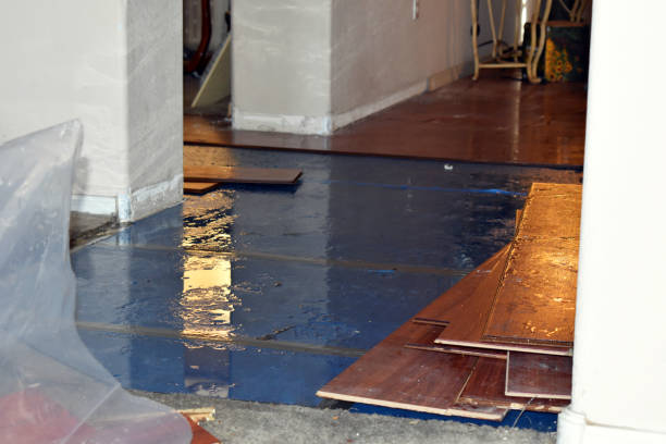 Professional Sewage Cleanup technician working in Falkville, AL